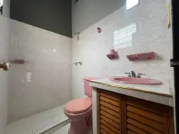 Vista 15