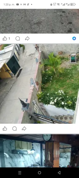View 3