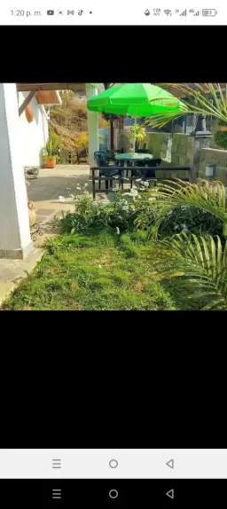 View 4