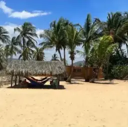 View 5