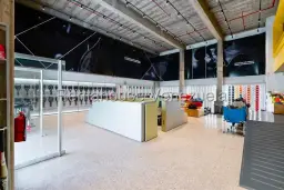 Vista 5