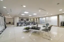 Vista 20