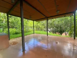 Vista 24