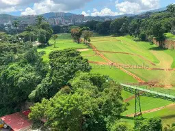 View 14