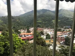 Vista 7