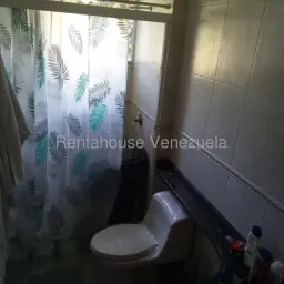 Vista 19