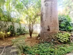 View 26