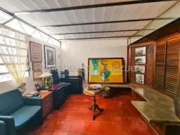 Vista 19