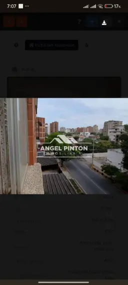 View 8