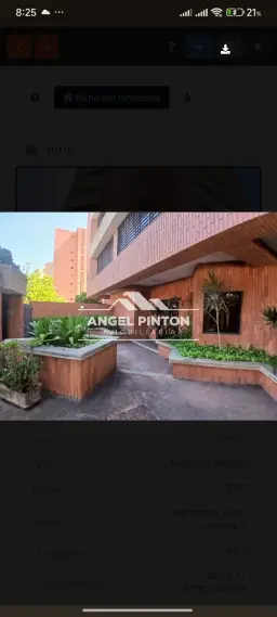Vista 2