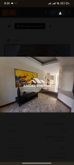 Vista 3