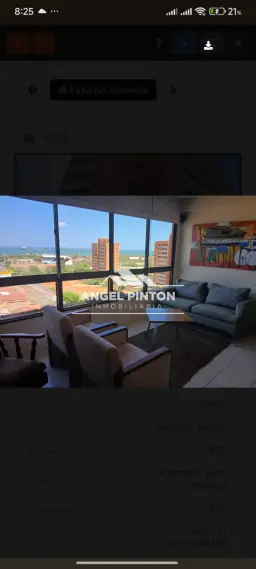 Vista 4