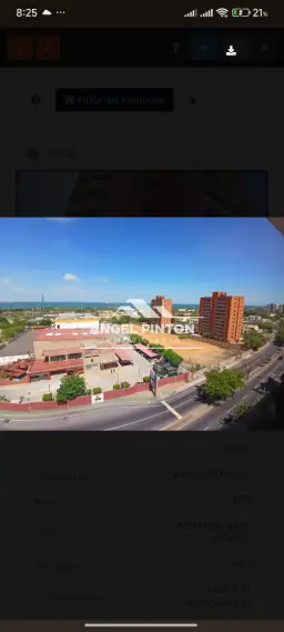 Vista 9