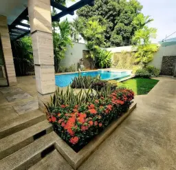 Vista 4