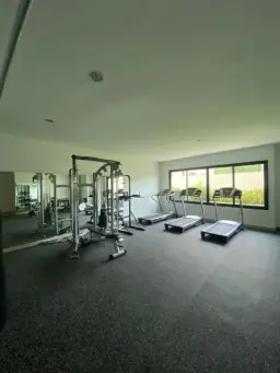 View 15