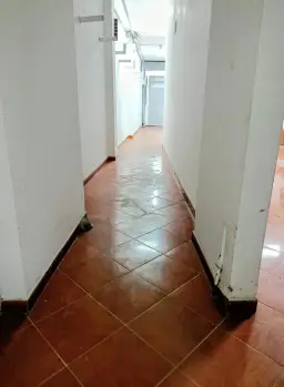 Vista 6