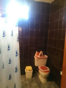 Vista 10