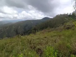 Vista 4