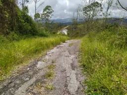 Vista 5