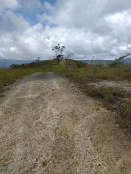 View 1