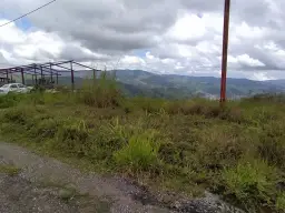 View 4