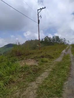 View 5