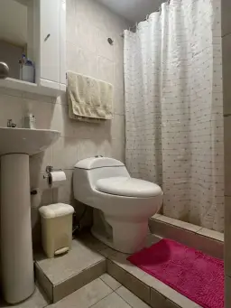 Vista 6