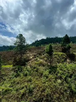 Vista 9