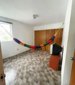 Vista 11