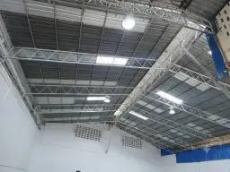 Vista 5