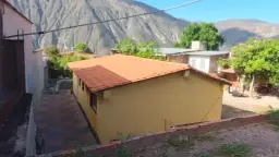 Vista 19