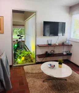 Vista 10