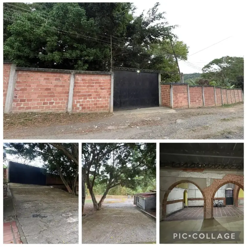 UNIDAD DE PRODUCCIÓN AGROPECUARIA UBICADA EN MATA DE MANGO MUNICIPIO JUNÍN, ESTADO TÁCHIRA 