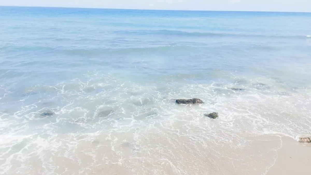Casa quinta: Hogar familiar o tu próximo negocio con salida al mar - 10