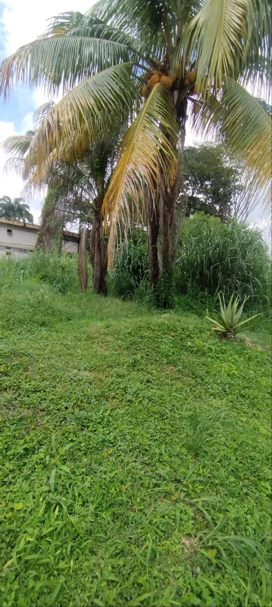 TERRENO EN PIEDRAS PINTADAS CARABOBO
