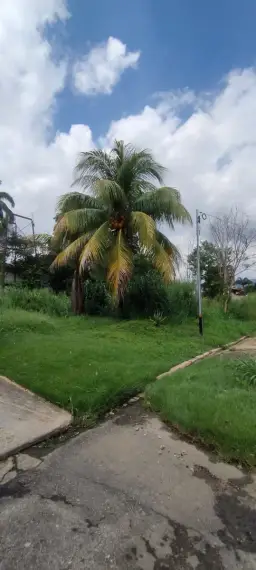 View 3