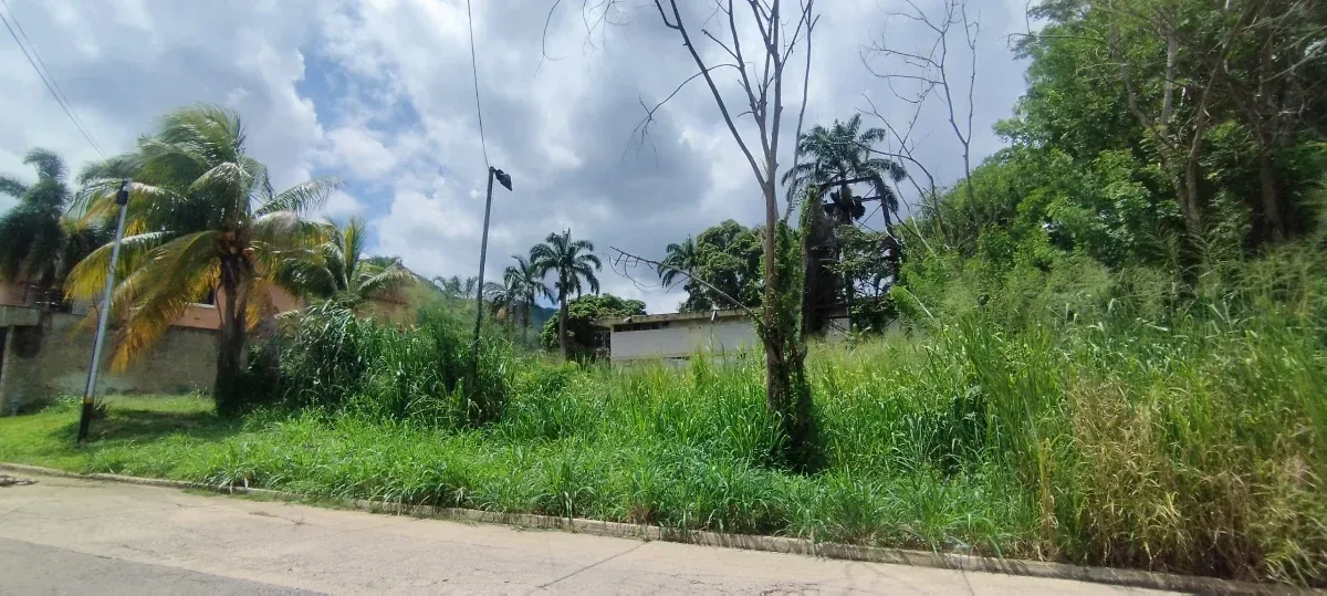 TERRENO EN PIEDRAS PINTADAS CARABOBO - 6