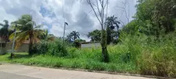 View 6