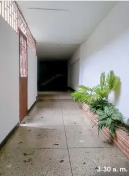 Vista 1