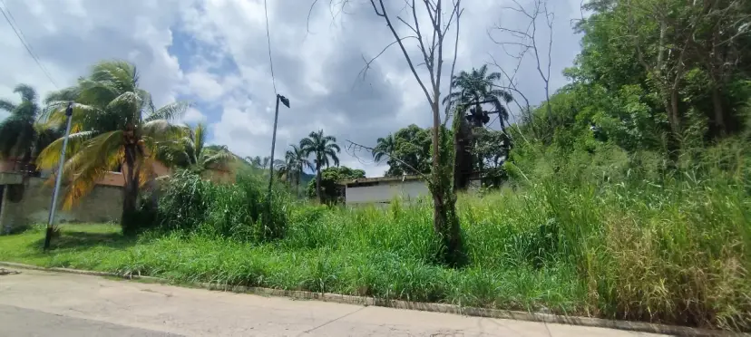 TERRENO EN VENTA PIEDRAS PINTADAS 