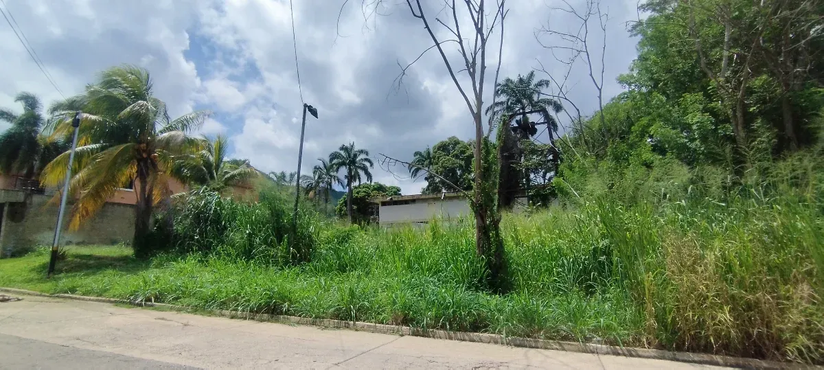 TERRENO EN VENTA PIEDRAS PINTADAS 