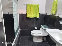 Vista 19