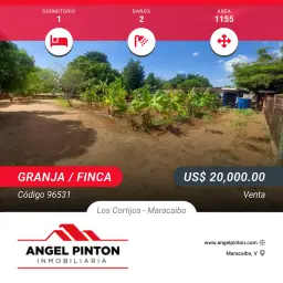 Vista 1