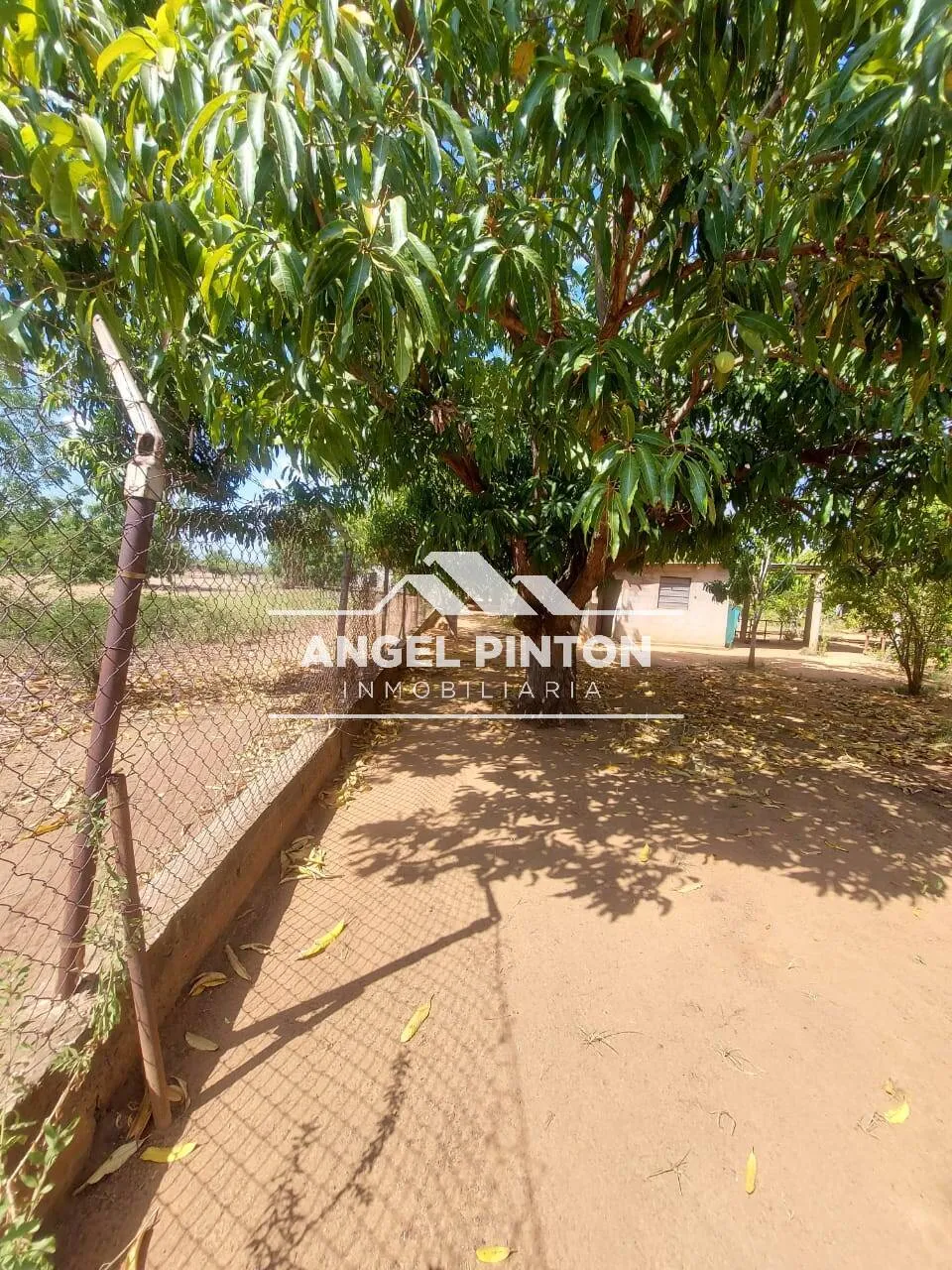 API 96531 GRANJA VENTA KM15 VIA PERIJÁ MANANTIAL I SAN FRANCISCO VENEZUELA  $ 20.000  Elluz Blanco  - 4
