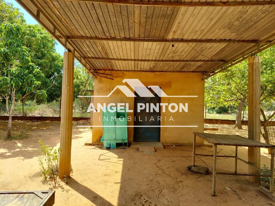 API 96531 GRANJA VENTA KM15 VIA PERIJÁ MANANTIAL I SAN FRANCISCO VENEZUELA  $ 20.000  Elluz Blanco  - 7
