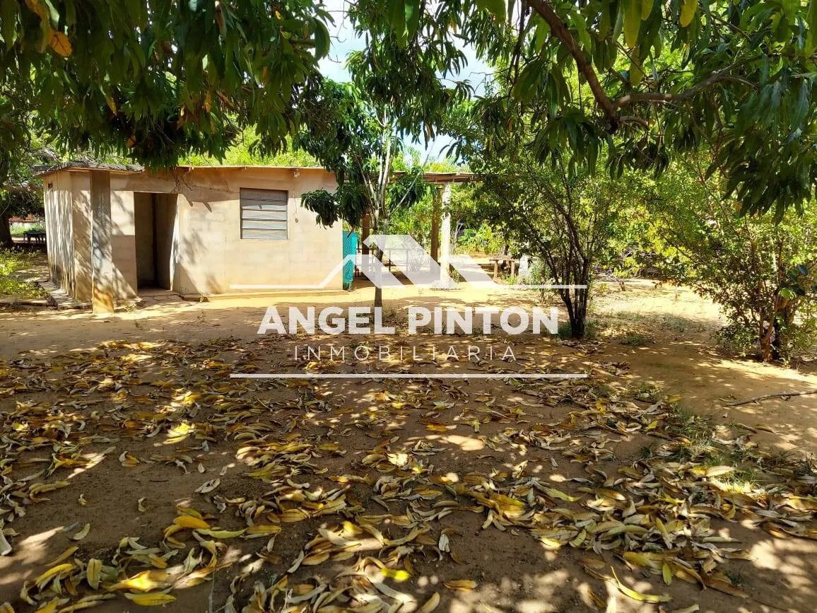 API 96531 GRANJA VENTA KM15 VIA PERIJÁ MANANTIAL I SAN FRANCISCO VENEZUELA  $ 20.000  Elluz Blanco  - 8