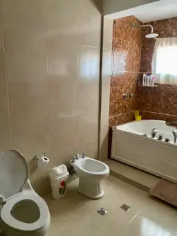 Vista 15