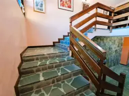 Vista 7