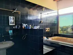 Vista 31