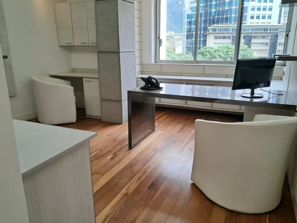 LA CASTELLANA OFICINA DE ALTA GERENCIA EN ALQUILER DE 530 MTS2 - 20